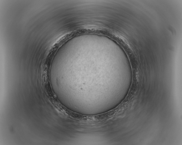 X0000112980968200909101711