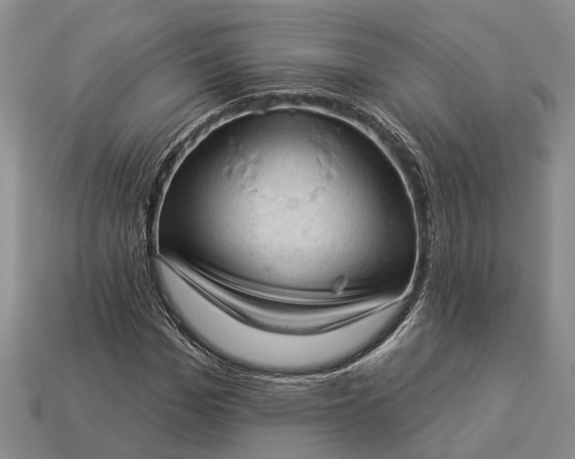 X0000112980969200909101711