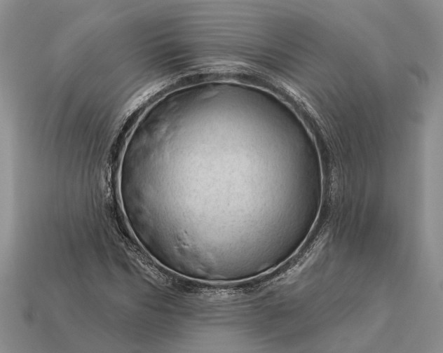 X0000112980970200909101711