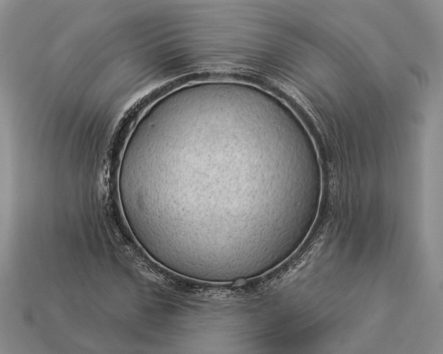 X0000112980971200909101711