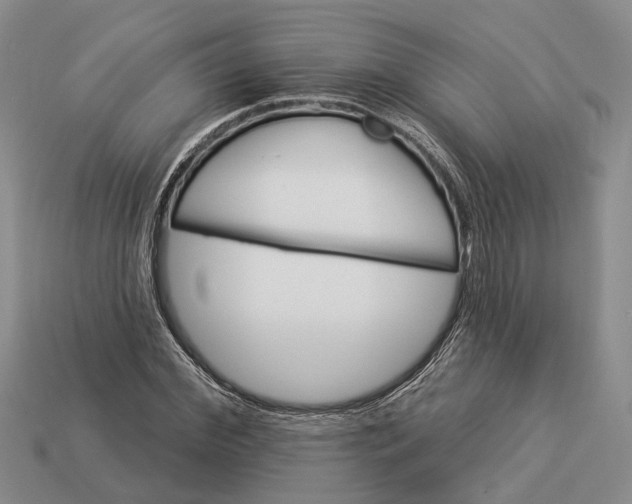 X0000112980972200909101711