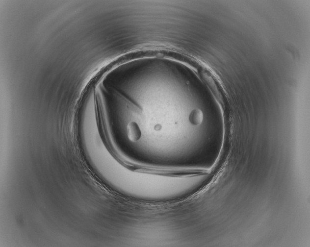 X0000112980973200909101711