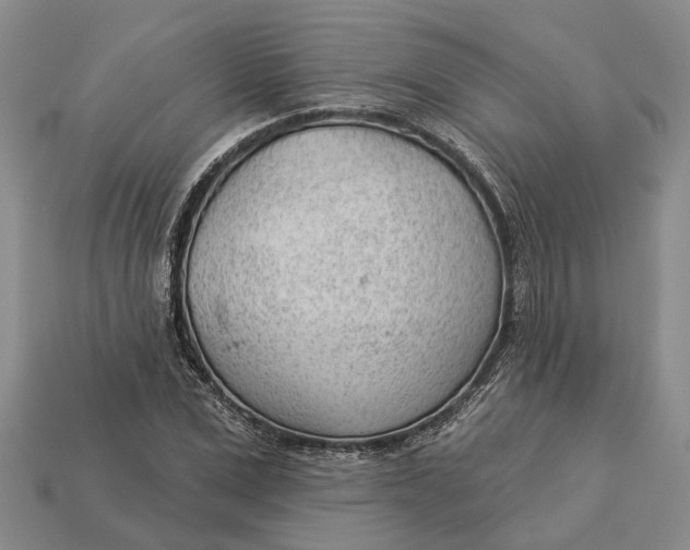 X0000112980975200909101711