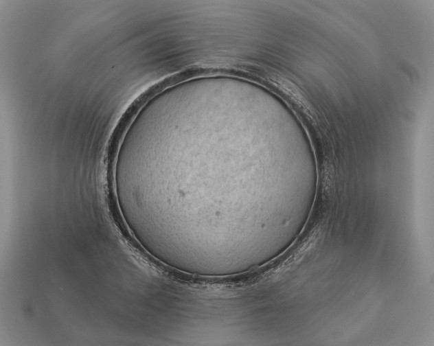 X0000112980976200909101711