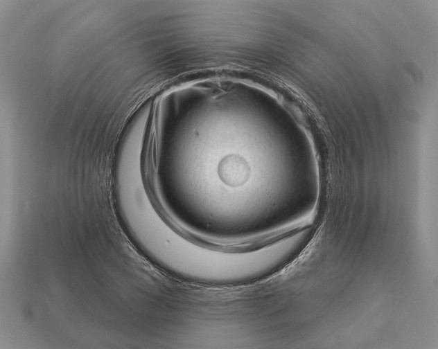 X0000112980977200909101711