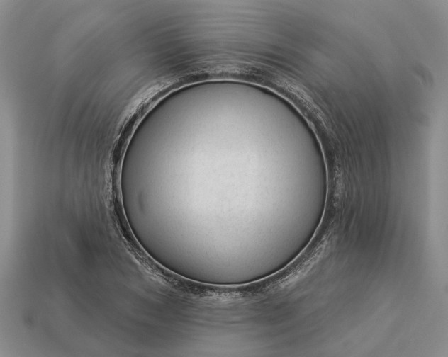 X0000112980978200909101711