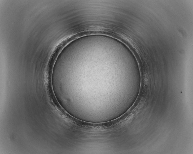 X0000112980979200909101711