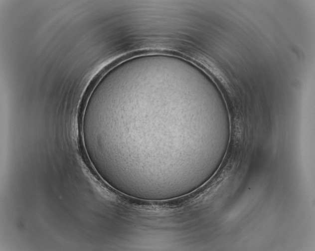 X0000112980980200909101711