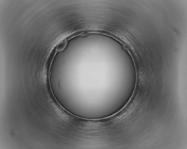 X0000112980981200909101711