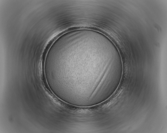 X0000112980982200909101711