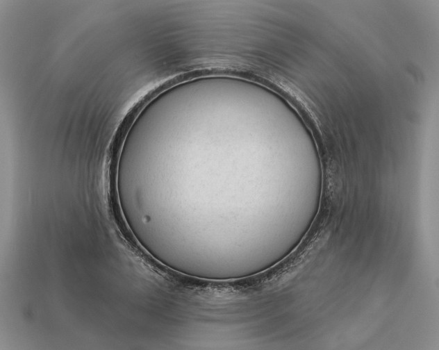 X0000112980983200909101711