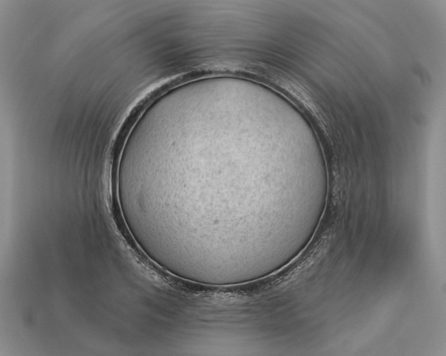 X0000112980984200909101711