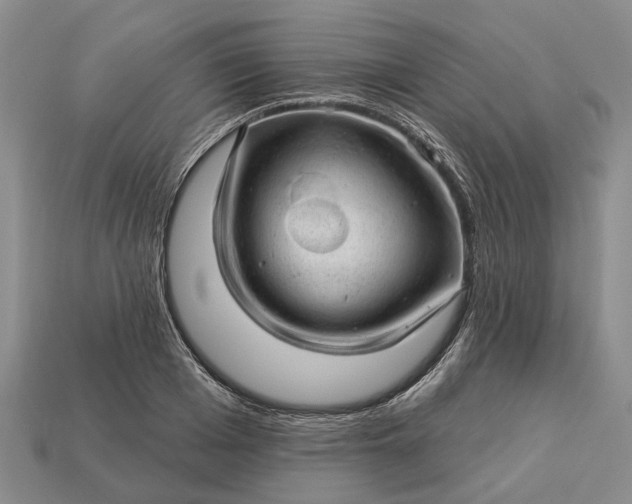 X0000112980985200909101711