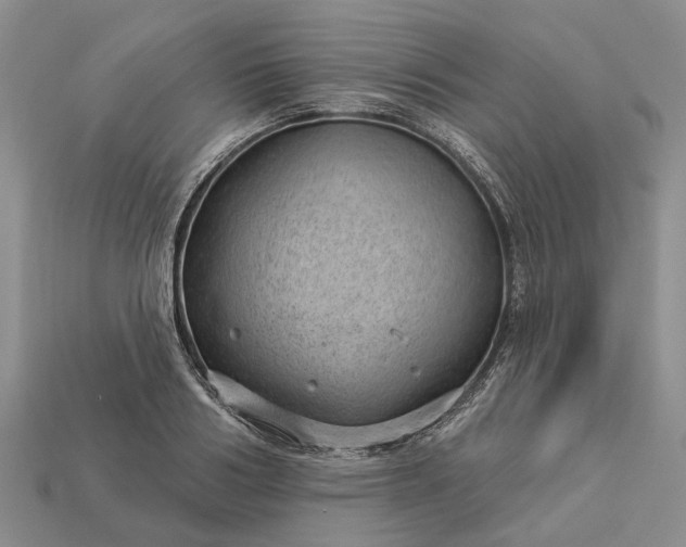 X0000112980986200909101711