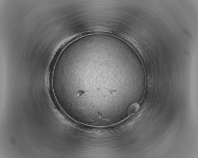 X0000112980987200909101711