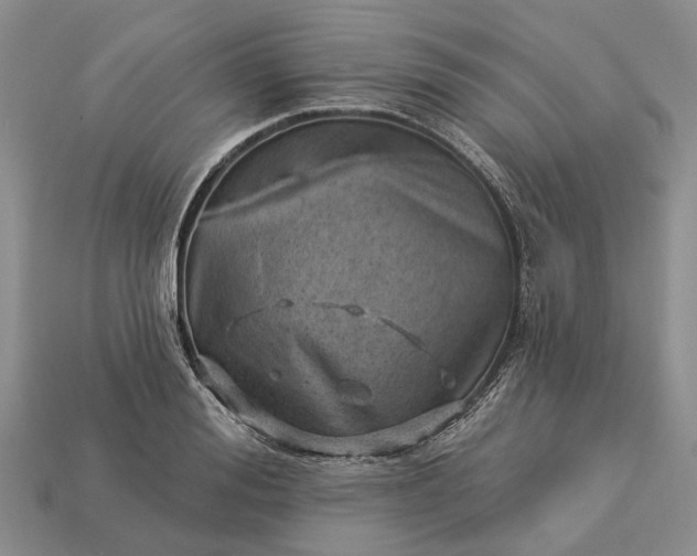 X0000112980988200909101711