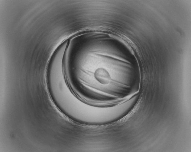 X0000112980989200909101711