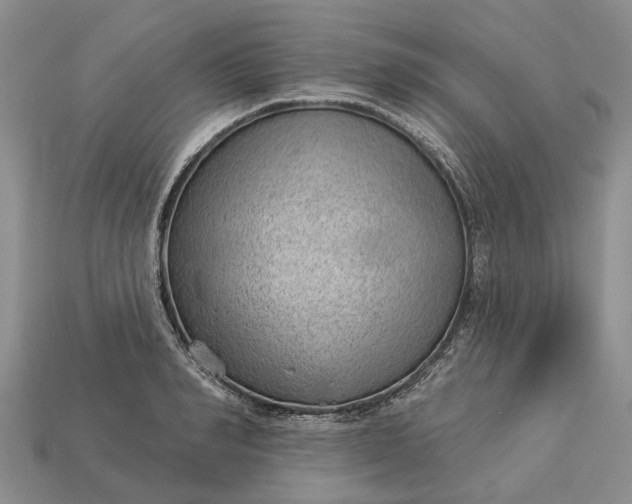 X0000112980990200909101711