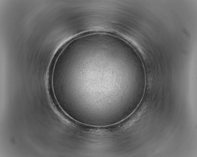 X0000112980991200909101711