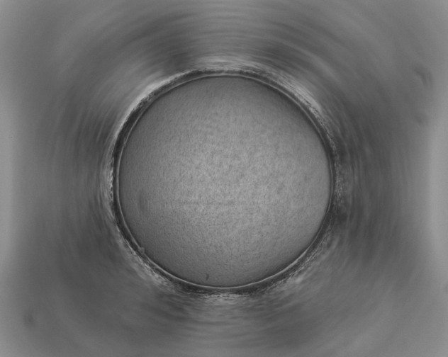 X0000112980992200909101710