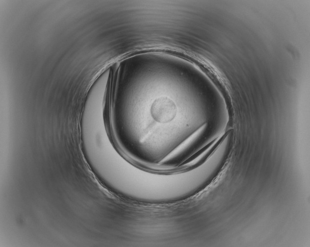 X0000112980993200909101710