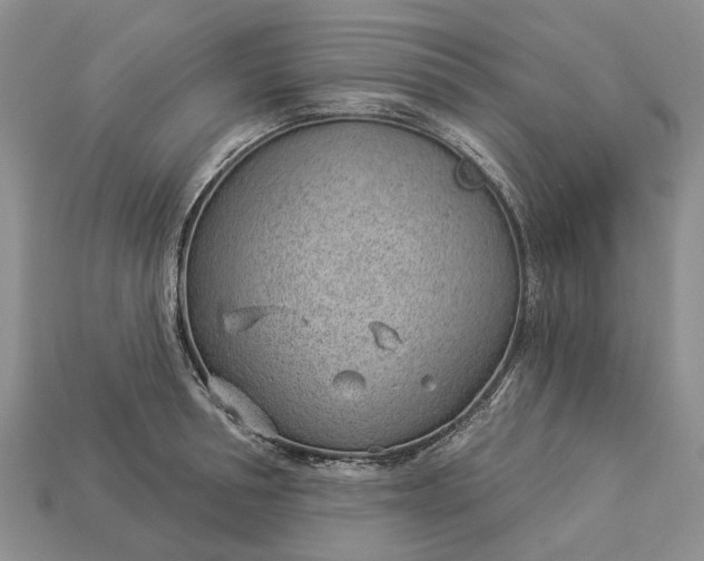 X0000112980994200909101710