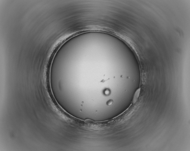 X0000112980995200909101710