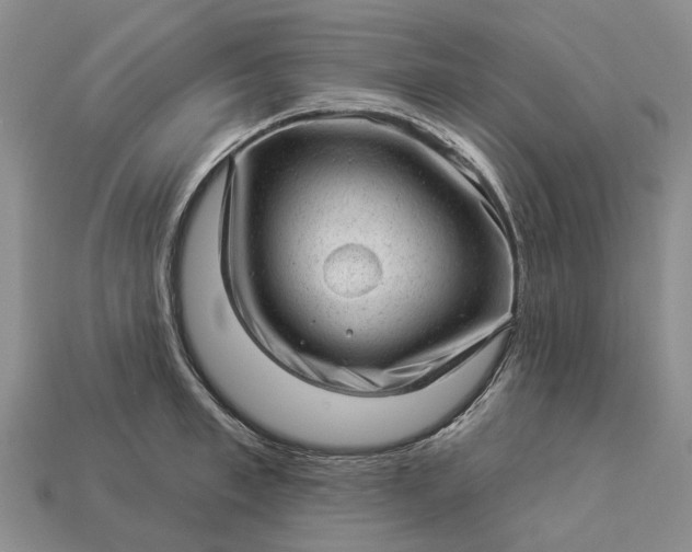 X0000112980997200909101710