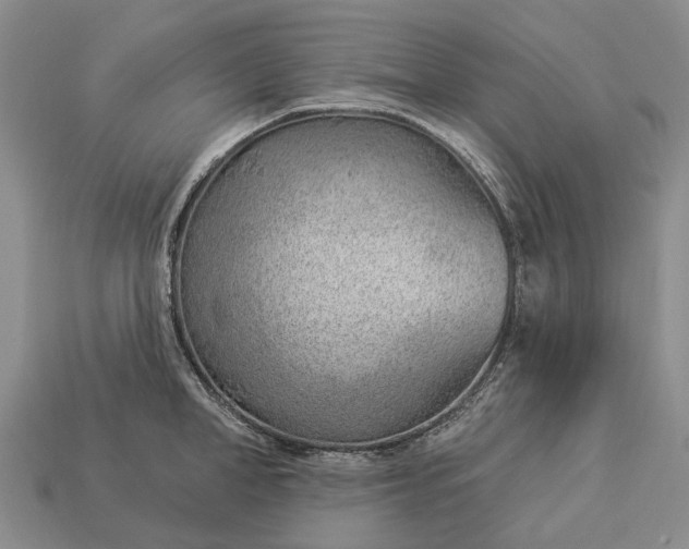 X0000112980998200909101710