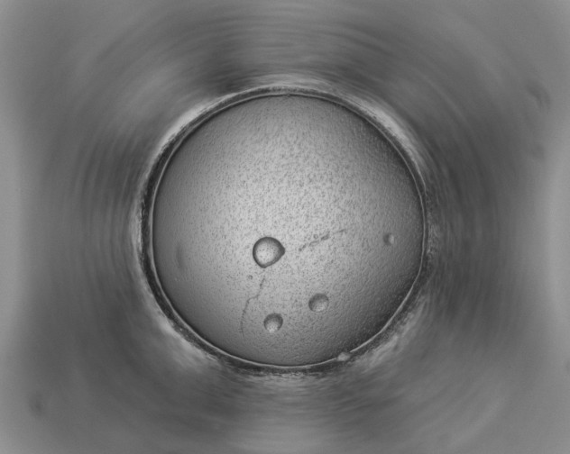 X0000112980999200909101710