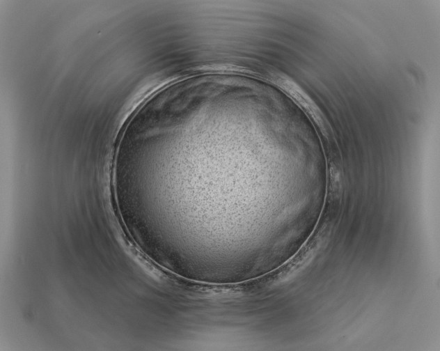 X0000112981002200909101710