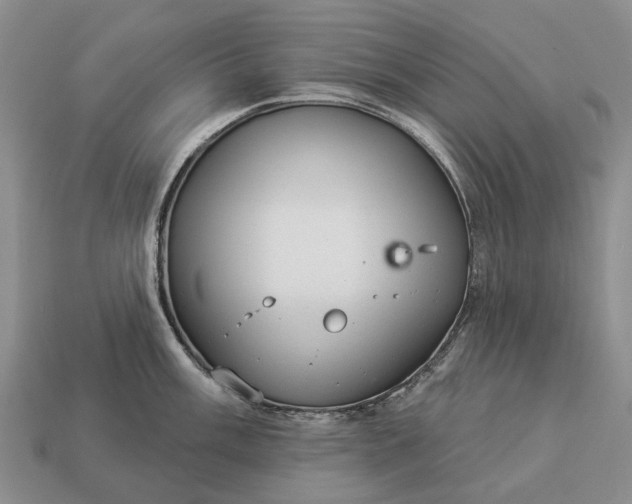 X0000112981003200909101710