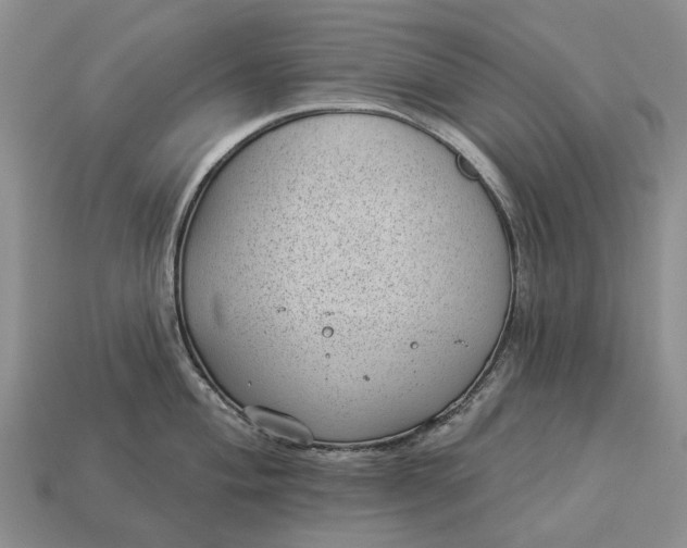 X0000112981004200909101710