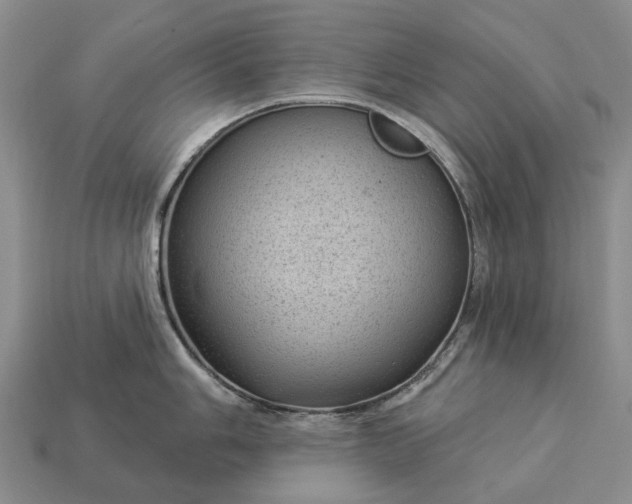 X0000112981006200909101710