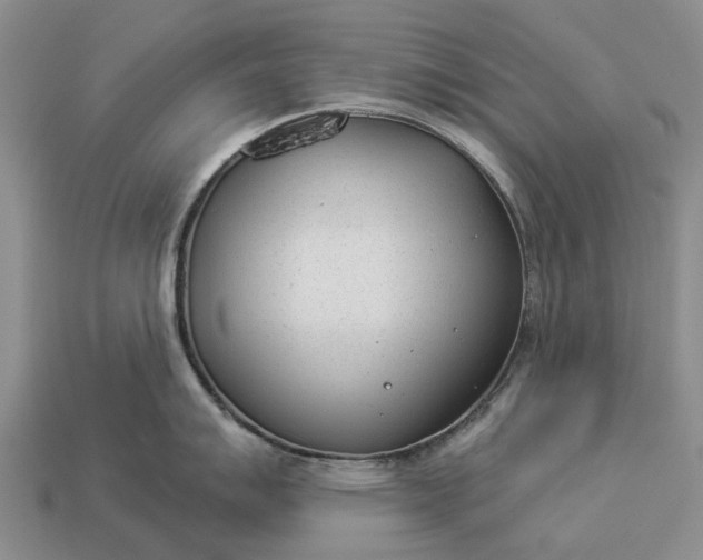 X0000112981007200909101710