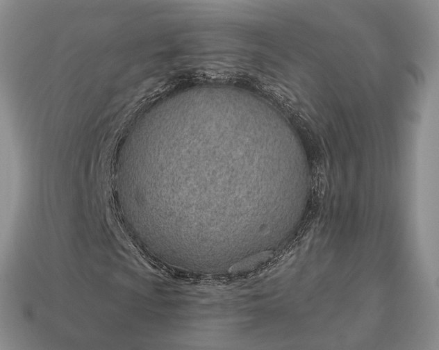 X0000112981009200909101709