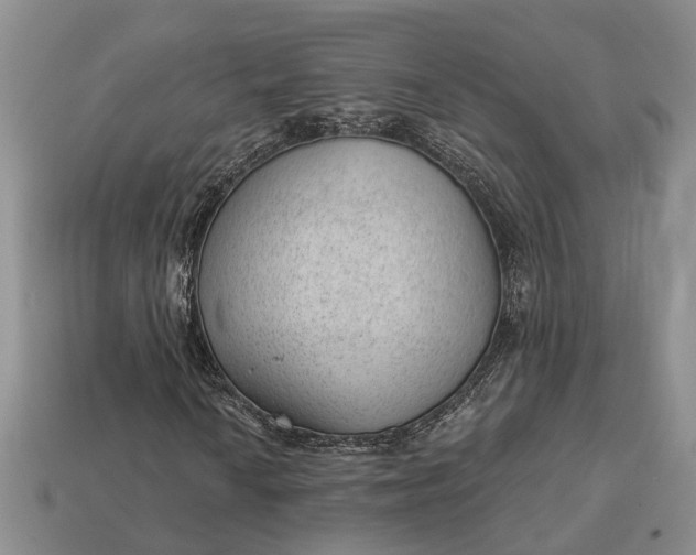 X0000112981010200909101709