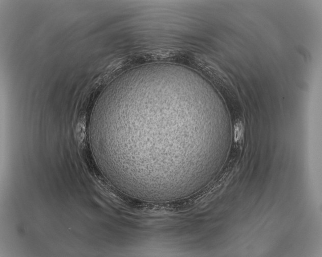 X0000112981011200909101709