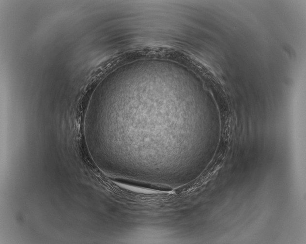 X0000112981013200909101709