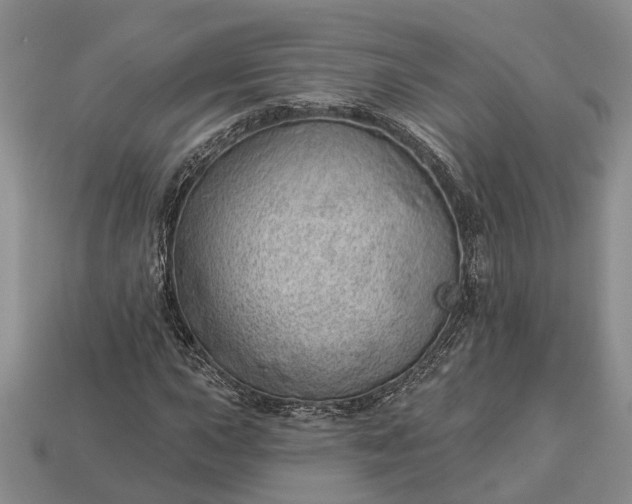 X0000112981015200909101710