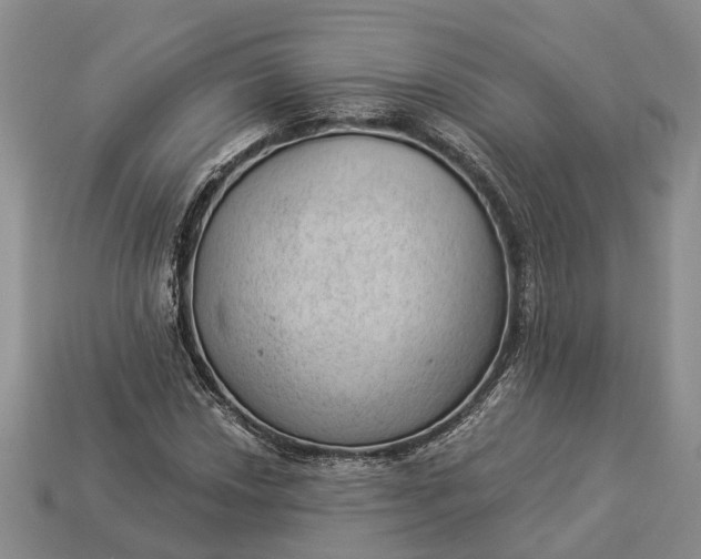 X0000112981018200909101710