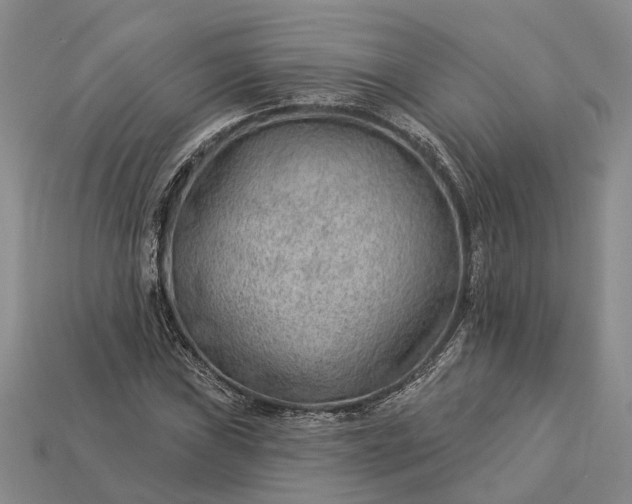 X0000112981019200909101710