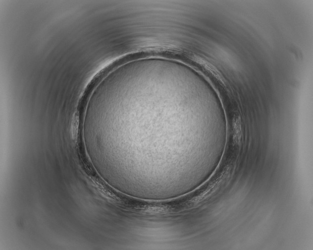 X0000112981021200909101710