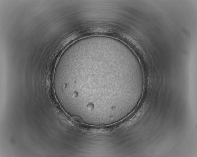 X0000112981025200909101710