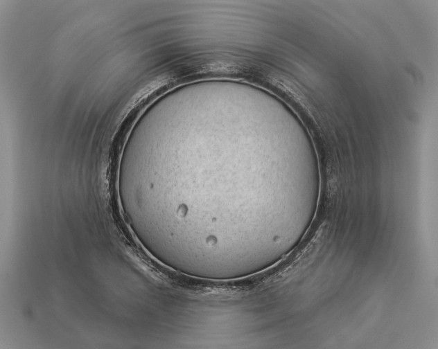 X0000112981026200909101710