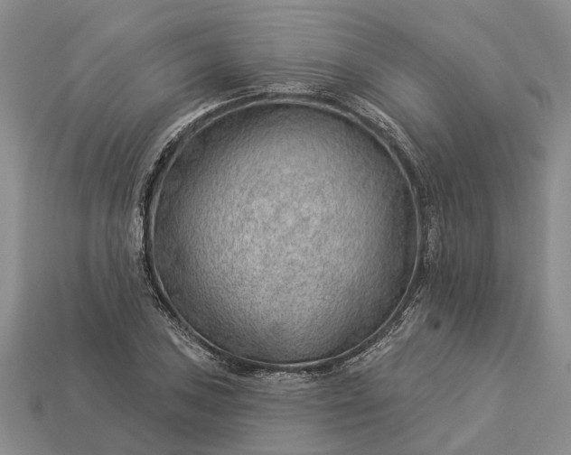 X0000112981027200909101710