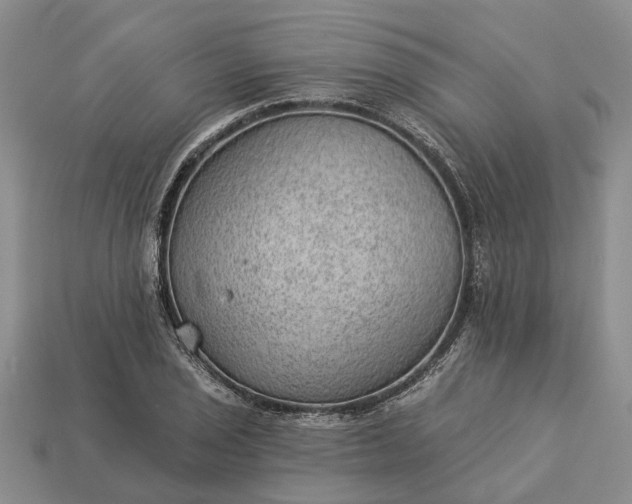 X0000112981029200909101710