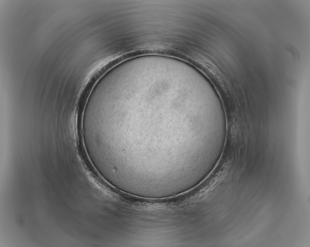 X0000112981030200909101710