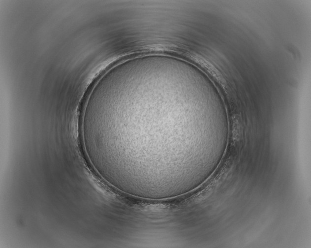 X0000112981031200909101710