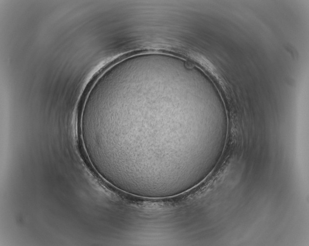 X0000112981032200909101710